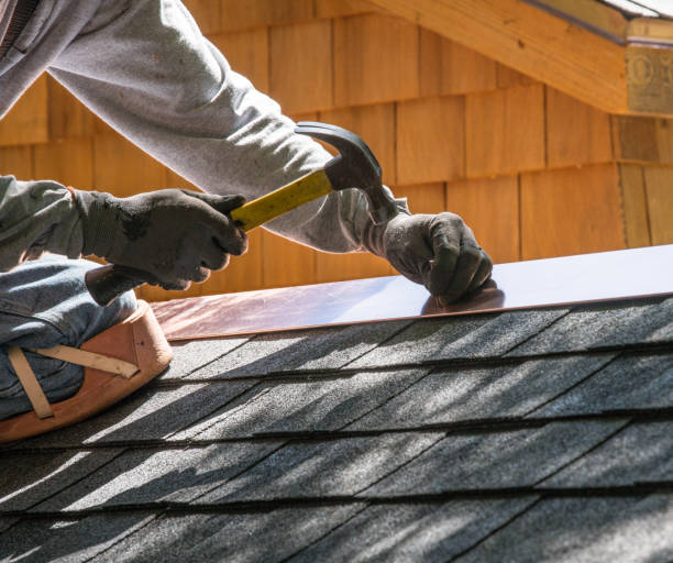 Best Roof Gutter Cleaning  in Bellevue, PA